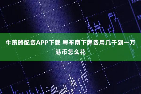牛策略配资APP下载 粤车南下牌费用几千到一万港币怎么花